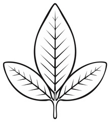 Fototapeta premium Stylized Leaf Illustration with Three Leaves in Black and White Outline