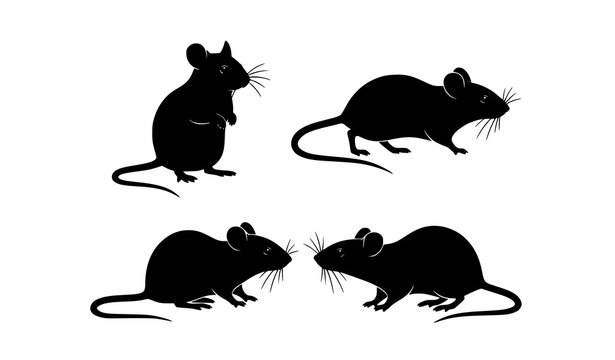 Four panel black mouse silhouette set with different poses minimalist animal vector collection isolated on white