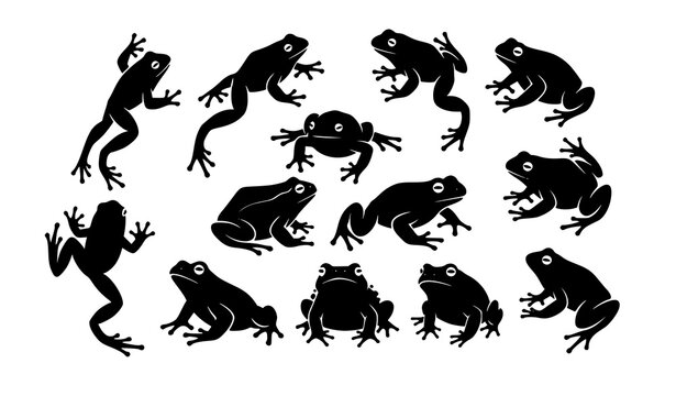 Stylized frog and toad silhouette collection in circular layout with dynamic amphibian poses isolated on white