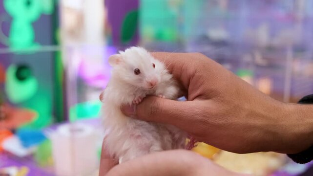 Caught Red-Handed! The Great Escape, Escaping the Giant! A Tiny Rat&rsquo;s Struggle,
