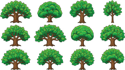 Green tree cartoon vector collection with leafy forest trees, detailed nature illustration set for landscape, park and environmental design use © MdMostafijur