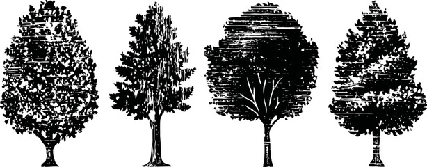 Fototapeta premium four detailed black silhouette tree illustrations with varying leaf and branch patterns