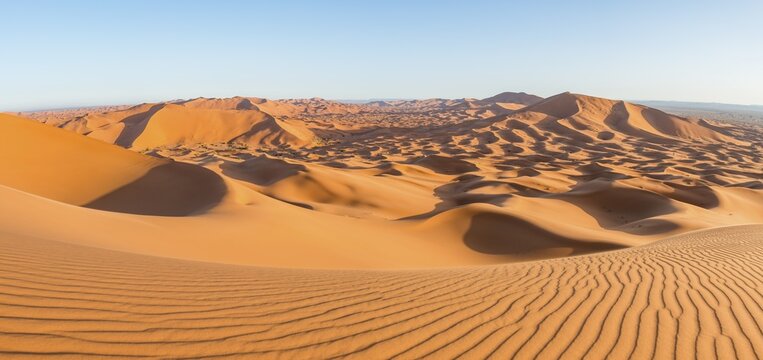 Red sand dunes in the desert, dune landscape Erg Chebbi, Merzouga, Sahara, Morocco