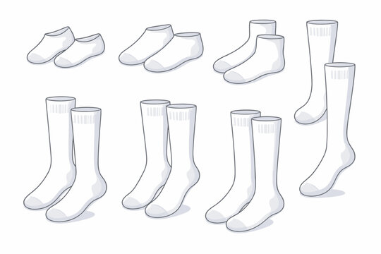 Collection of White Socks in Different Lengths and Pairs, Simple Flat Vector Illustration of No-Show, Ankle, Crew, and Knee-High Hosiery for Apparel Design, Fashion Mockups, and Clothing Basics