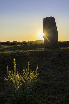 Dolmen Les Pierres Plates in the evening light, Locmariaquer, D&eacute;partement Morbihan, France