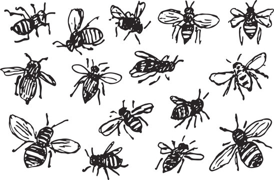 Set of hand drawn bees insect sketches flying pollinators with wings and stripes nature illustration for ecology and environment