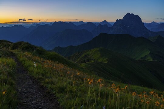 Small mountain trail with flower meadow at sunrise, Schoppernau, Bregenzerwald, Vorarlberg, Austria