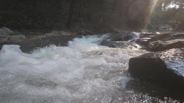 Slow motion of a peaceful forest stream with sunlight filtering through trees, creating a tranquil and natural atmosphere.