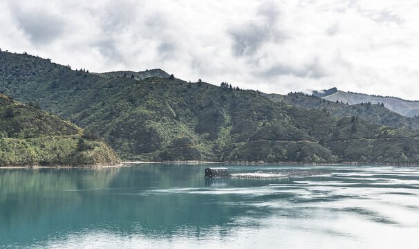 Fish farm, Aqua Farm, Coast seaside, Queen Charlotte Sound, Totaranui, Picton, Southland, New Zealand