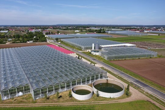 Greenhouses with rainwater collection basins and fields in the vegetable growing area, garlic land or garlic country, Nuremberg, Central Franconia, Franconia, Bavaria, Germany