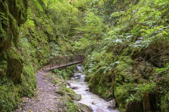 Footbridge in the Rastenbachklamm, Kaltern a. d. Weinstr., South Tyrol, Italy