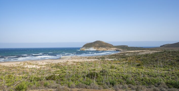 Agaves on the beach, Playa de Los Genoveses, Cabo de Gata-Nijar National Park, Almer&iacute;a, Spain