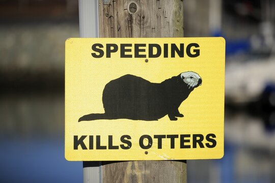 Traffic sign Caution Sea Otter, Speed Limit, Elkhorn Slough, California, USA
