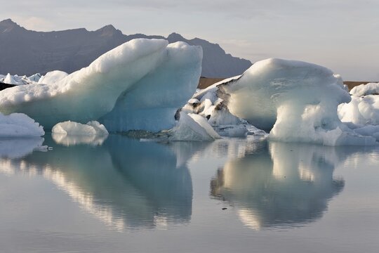 Icebergs, the darker ones coloured by volcanic ash, Joekulsarlon glacial lake, southern coast of Iceland, Atlantic Ocean