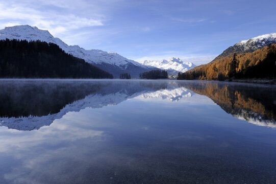 Lake Champfer with larch forest with autumnal colouring, Mt Piz da la Margna at back, St. Moritz, Engadine, Grisons, Switzerland, Europe