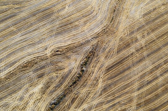 Abstract patterns caused by tractor wheel ruts in cornfield after wheat harvest, aerial view, drone shot, C&oacute;rdoba province, Andalusia, Spain