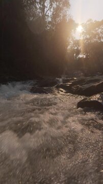 Tranquil river scene with sunlight streaming through dense forest, creating a peaceful and natural atmosphere.