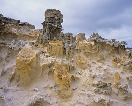 Petrified Forest at Cape Bridgewater, Victoria, Australia