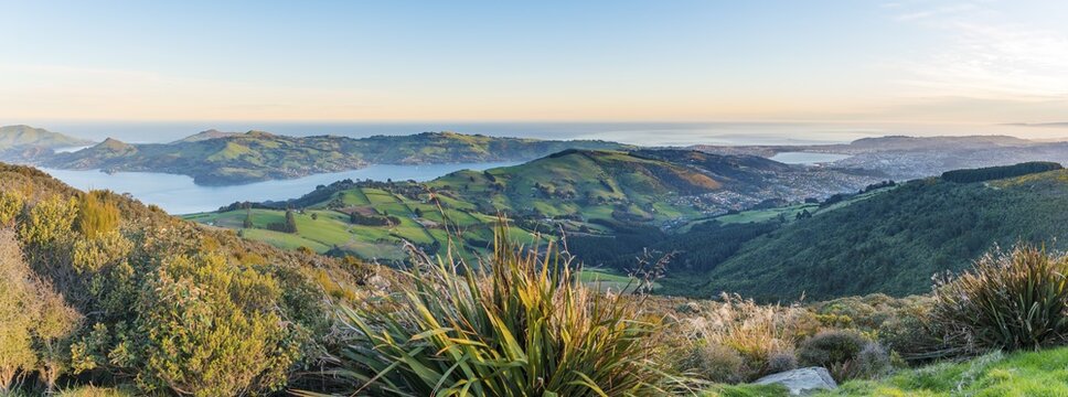 View from Mount Cargill Dunedin with Otago Harbor and Otago Peninsula, Dunedin, Otago, Southland, New Zealand