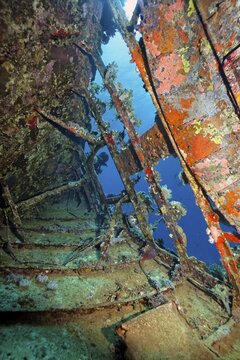 Inside with Sponge (Porifera) overgrown shipwreck, sailing ship, Red Sea, Abu Galawa, Fury Shoals, Egypt