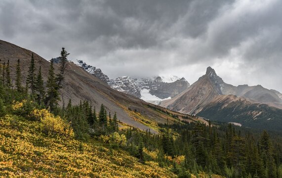 View to Mount Athabasca and Hilda Peak in autumn, Parker Ridge, Jasper National Park National Park, Canadian Rocky Mountains, Alberta, Canada
