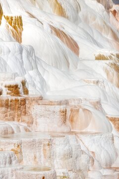 Sinter terraces with calcareous tuff deposits, hot springs, colorful mineral deposits, Palette Springs, Lower Terraces, Mammoth Hot Springs, Yellowstone National Park, Wyoming, USA