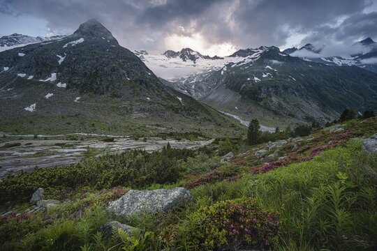 Evening mood, mountain pines, mountains on the Berliner H&ouml;henweg, left mountain peak Steinmandl right Gro&szlig;er M&ouml;seler, Waxeggkees glacier, Zillertal Alps, Zillertal, Tyrol, Austria