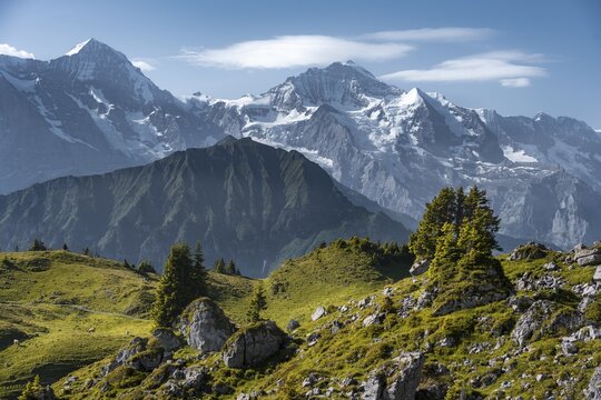 Snow-covered mountain peaks, M&ouml;nch, Jungfraujoch and Jungfrau, Jungfrau region, Grindelwald, Canton Bern, Switzerland
