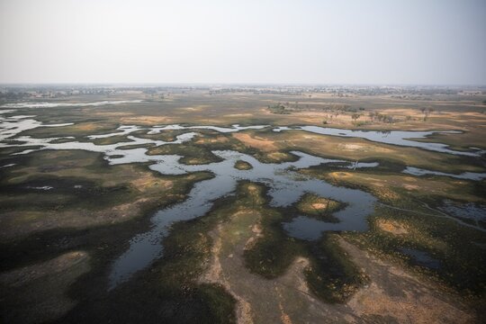 Wetland, landscape, aerial view of the Okavango Delta, near Maun, Okavango Delta, Botswana