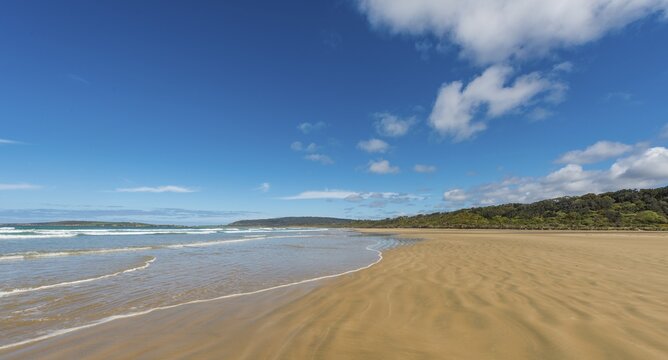 Sandy beach Tautuku Bay, The Catlins, Southland Region, Southland, New Zealand