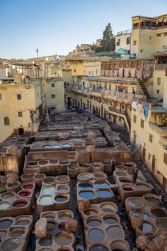 Worker dyeing leather, basin with paint, dyeing, tannery Tannerie Chouara, tanner and dyer quarter, Fes el Bali, Fes, Morocco