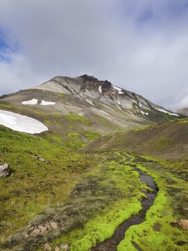 Willow moss, Hvitserkur mountain, consists of layers of ignimbrite from intrusions of basalt, F946, Bakkager&eth;i, Iceland, Europe