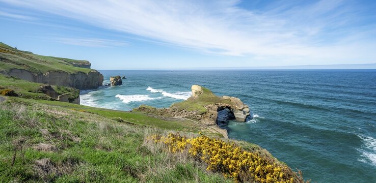 Cliff, Tunnel Beach, Dunedin, Otago Region, Southland, New Zealand