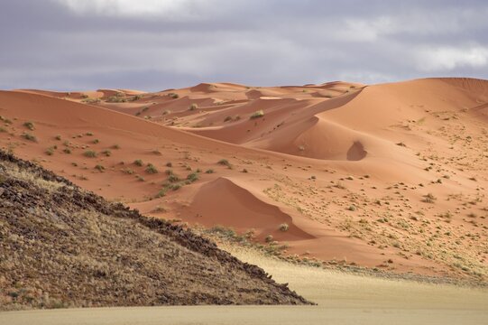 Namib Desert dunes on road D0707, Namibia, Africa