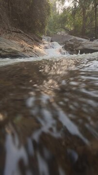 Tranquil stream cascading over rocks in a dense forest, surrounded by lush greenery and natural beauty.