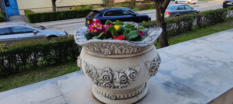 basket with flowers