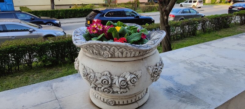 flowers in the street