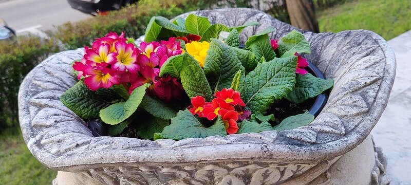 basket with flowers
