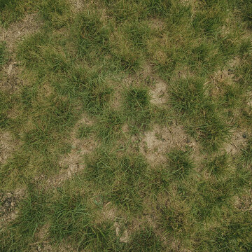 Natural Grass Ground Texture with Dry Patches