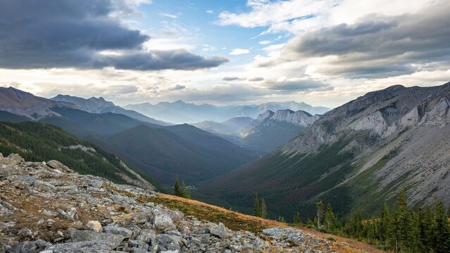 View into forested valley, mountain peak and Ashlar Ridge in the back, Sulphur Skyline Trail, Jasper National Park, Alberta, Canada