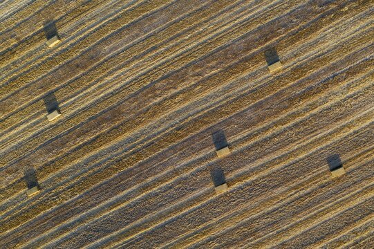 Bales of straw and abstract patterns in cornfield after wheat harvest, aerial view, drone shot, C&oacute;rdoba province, Andalusia, Spain