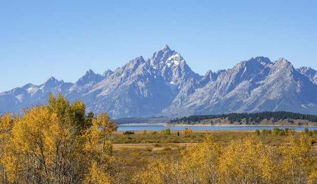 Grand Teton mountain top, Autumn landscape, yellow coloured aspens (Populus tremula) and bushes, Willow Flats Overlook, Teton Range mountain range, Grand Teton National Park, Wyoming, USA