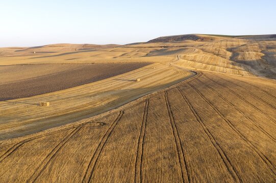 Bales of straw and abstract patterns in cornfield after wheat harvest, prominent the tractor wheel ruts, aerial view, drone shot, C&oacute;rdoba province, Andalusia, Spain