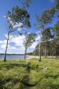 Coast in Furulunden nature park Park by Mannefjord, Mandal, Norway