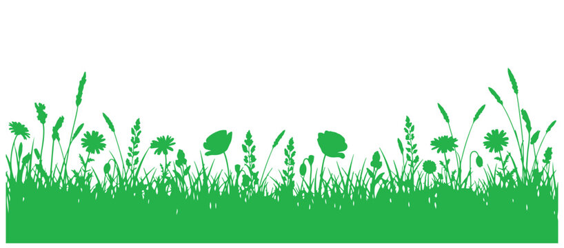 Floral and grass border with blooming meadow flowers and lush green grass.