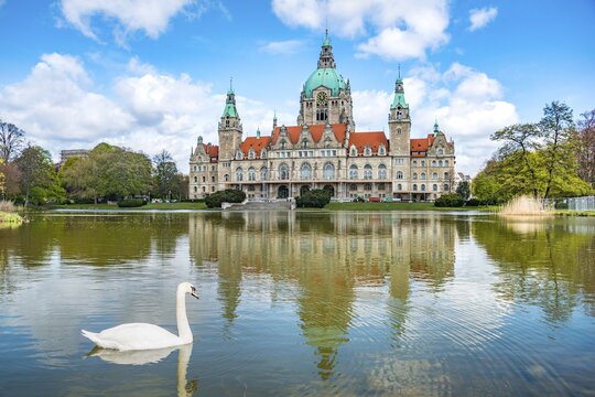 New Town Hall, swan, Maschteich Pond reflection, Maschpark, Hanover, Lower Saxony, Germany