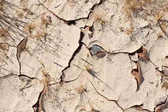 Desert ground, Namibia, Africa