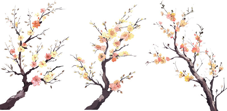 Watercolor ink chinese painting plum blossom bold brush strokes, spring illustration asian japanese style apple cherry flowers transparent isolated, water ink paint canvas vector decoration collection