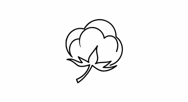 Simple black line art drawing of a cotton plant boll with stem