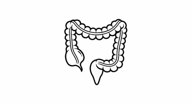 Simple line art depiction of the human colon with a bulge